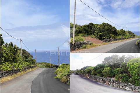 Helårsgrund i Sao Roque do Pico, Pico, Sao Roque do Pico - € 100.000 | Ref: 061129 - foto 22