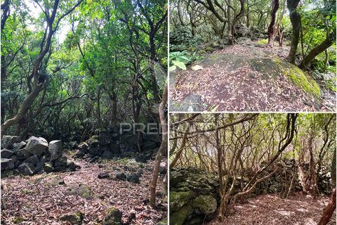 Helårsgrund i Sao Roque do Pico, Pico, Sao Roque do Pico - € 100.000 | Ref: 061129 - foto 24