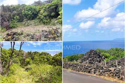 Helårsgrund i Sao Roque do Pico, Pico, Sao Roque do Pico - € 100.000 | Ref: 061129 - foto 25