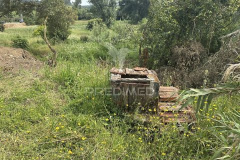 Byhus i Ourem, Santarem, Ourem - € 120.000 | Ref: 060145 - foto 8