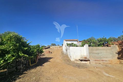 Byhus i Serpa, Beja, Serpa - € 77.500 | Ref: 061150 - foto 5