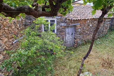 Farm i Arganil, Coimbra, Arganil - € 39.900 | Ref: ZMPT557238 - foto 2