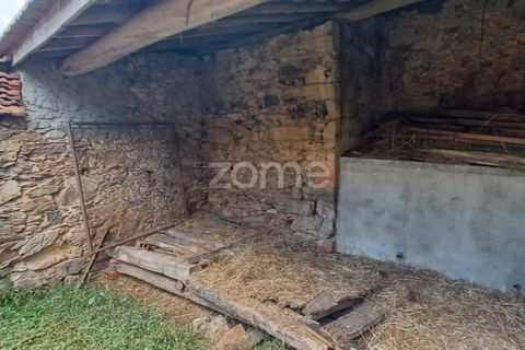 Farm i Arganil, Coimbra, Arganil - € 39.900 | Ref: ZMPT557238 - foto 9