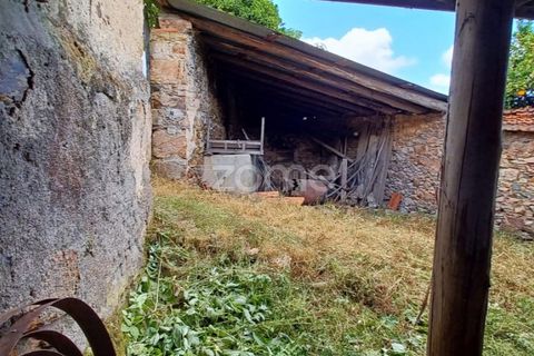 Farm i Arganil, Coimbra, Arganil - € 39.900 | Ref: ZMPT557238 - foto 10