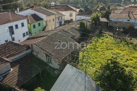 Farm i Arganil, Coimbra, Arganil - € 39.900 | Ref: ZMPT557238 - foto 14
