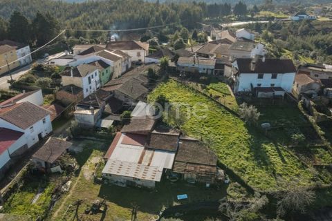 Farm i Arganil, Coimbra, Arganil - € 39.900 | Ref: ZMPT557238 - foto 15