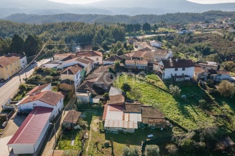 Farm i Arganil, Coimbra, Arganil - € 39.900 | Ref: ZMPT557238 - foto 16