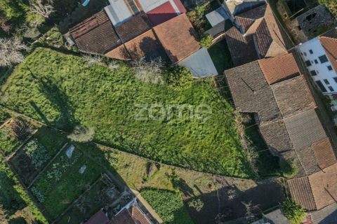 Farm i Arganil, Coimbra, Arganil - € 39.900 | Ref: ZMPT557238 - foto 20