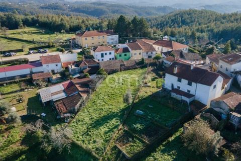 Farm i Arganil, Coimbra, Arganil - € 39.900 | Ref: ZMPT557238 - foto 22