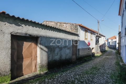 Farm i Arganil, Coimbra, Arganil - € 39.900 | Ref: ZMPT557238 - foto 24