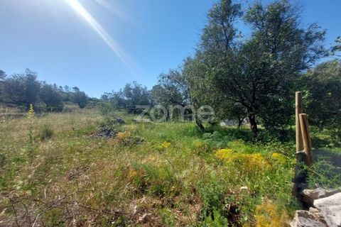 Helårsgrund i Batalha, Leiria, Batalha - € 25.000 | Ref: ZMPT589688 - foto 2
