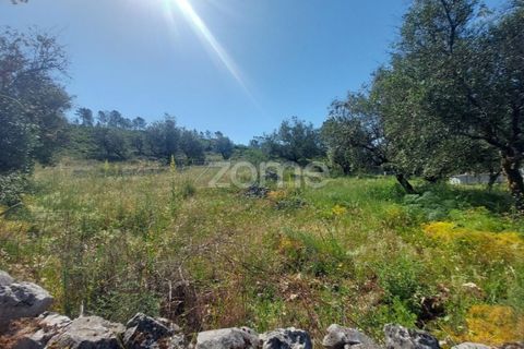 Helårsgrund i Batalha, Leiria, Batalha - € 25.000 | Ref: ZMPT589688 - foto 3