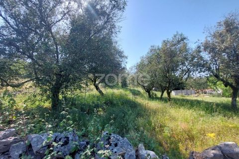 Helårsgrund i Batalha, Leiria, Batalha - € 25.000 | Ref: ZMPT589688 - foto 4