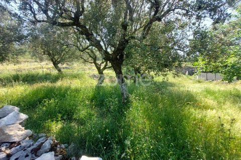 Helårsgrund i Batalha, Leiria, Batalha - € 25.000 | Ref: ZMPT589688 - foto 8