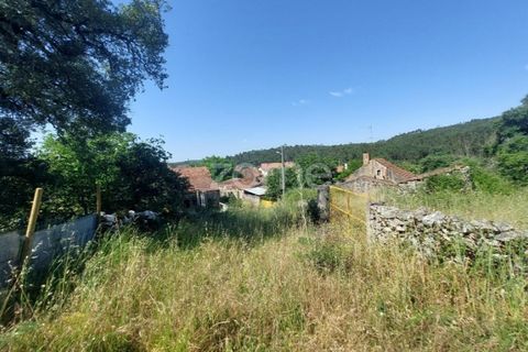 Helårsgrund i Batalha, Leiria, Batalha - € 25.000 | Ref: ZMPT589688 - foto 9