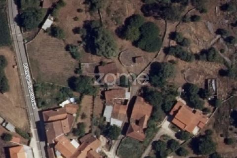 Helårsgrund i Batalha, Leiria, Batalha - € 25.000 | Ref: ZMPT589688 - foto 16