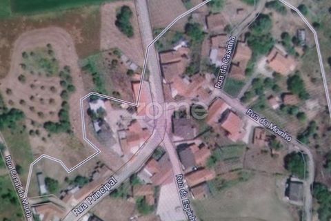 Helårsgrund i Batalha, Leiria, Batalha - € 25.000 | Ref: ZMPT589688 - foto 17