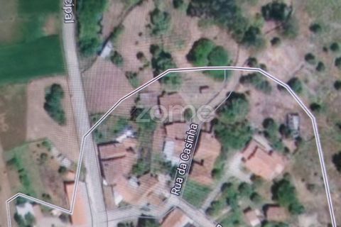 Helårsgrund i Batalha, Leiria, Batalha - € 25.000 | Ref: ZMPT589688 - foto 18