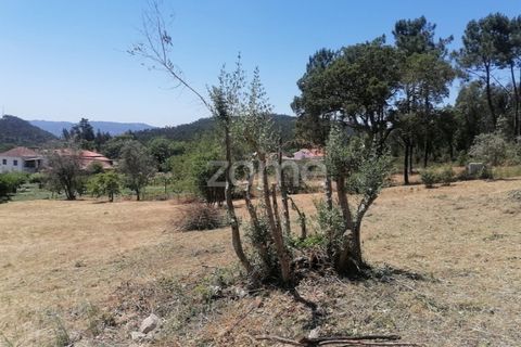 Villa i Santo Andre, Setubal, Santo Andre - € 35.000 | Ref: ZMPT589587 - foto 4
