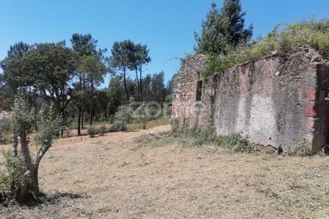 Villa i Santo Andre, Setubal, Santo Andre - € 35.000 | Ref: ZMPT589587 - foto 5