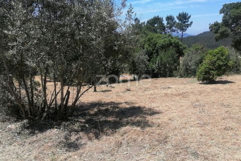 Villa i Santo Andre, Setubal, Santo Andre - € 35.000 | Ref: ZMPT589587 - foto 12