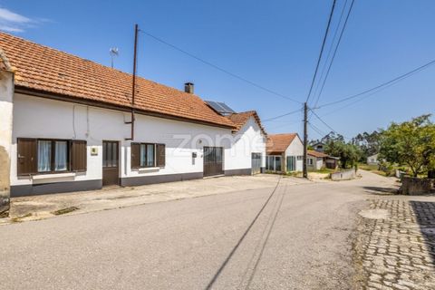 Villa i Gondemaria e Olival, Santarem, Gondemaria e Olival - € 230.000 | Ref: ZMPT589666 - foto 3