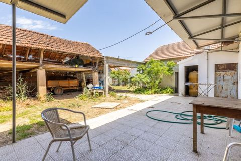 Villa i Gondemaria e Olival, Santarem, Gondemaria e Olival - € 230.000 | Ref: ZMPT589666 - foto 24