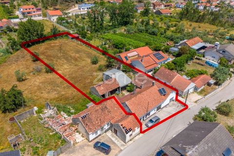 Villa i Gondemaria e Olival, Santarem, Gondemaria e Olival - € 230.000 | Ref: ZMPT589666 - foto 30