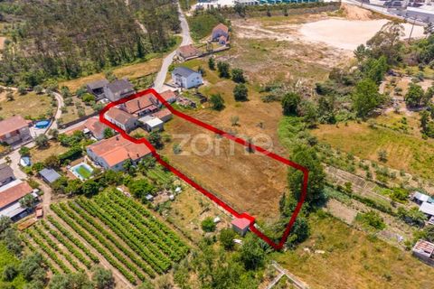 Villa i Gondemaria e Olival, Santarem, Gondemaria e Olival - € 230.000 | Ref: ZMPT589666 - foto 31