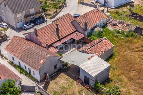 Villa i Gondemaria e Olival, Santarem, Gondemaria e Olival - € 230.000 | Ref: ZMPT589666 - foto 33