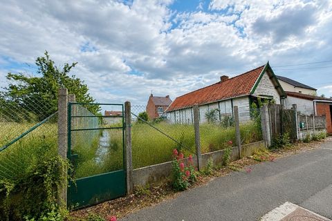 Villa a Râches, Nord, Râches - € 235.000 | Ref: 830032328409 - foto 5