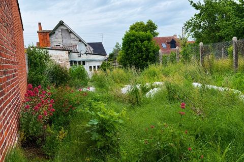 Villa a Râches, Nord, Râches - € 235.000 | Ref: 830032328409 - foto 6