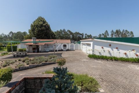 Villa a Tabua, Coimbra, Tabua - € 590.000 | Ref: ZMPT580553 - foto 7