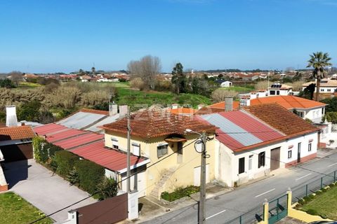 Villa i Oliveira do Bairro, Aveiro, Oliveira do Bairro - € 180.000 | Ref: ZMPT589584 - foto 4
