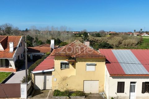 Villa i Oliveira do Bairro, Aveiro, Oliveira do Bairro - € 180.000 | Ref: ZMPT589584 - foto 5
