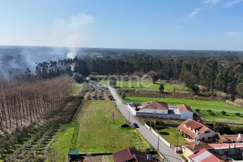 Villa i Oliveira do Bairro, Aveiro, Oliveira do Bairro - € 180.000 | Ref: ZMPT589584 - foto 9