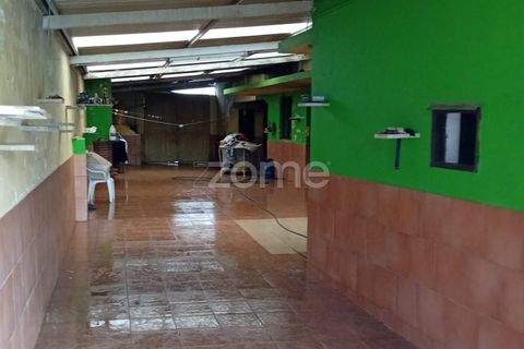 Villa i Oliveira do Bairro, Aveiro, Oliveira do Bairro - € 180.000 | Ref: ZMPT589584 - foto 11