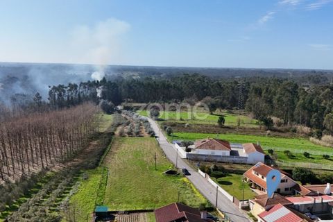 Villa i Oliveira do Bairro, Aveiro, Oliveira do Bairro - € 180.000 | Ref: ZMPT589584 - foto 16