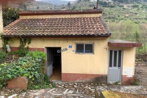 Landejendom i Baiao, Porto, Baiao - € 249.000 | Ref: 4930 - foto 5