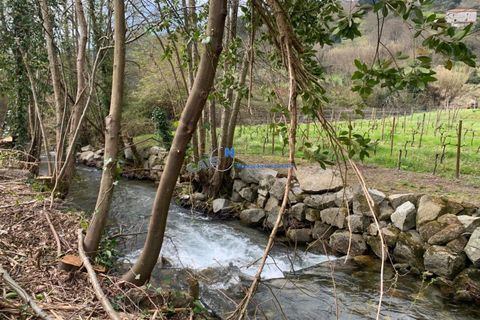 Landejendom i Baiao, Porto, Baiao - € 249.000 | Ref: 4930 - foto 36
