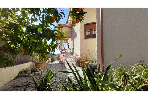 Villa i Aguiar da Beira, Guarda, Aguiar da Beira - € 590.000 | Ref: 261/ 2025 - foto 26