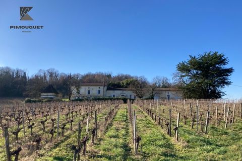 Landejendom i Moulon, Gironde, Moulon - € 315.000 | Ref: 830030956033 - foto 6