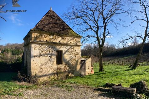 Landejendom i Moulon, Gironde, Moulon - € 315.000 | Ref: 830030956033 - foto 8