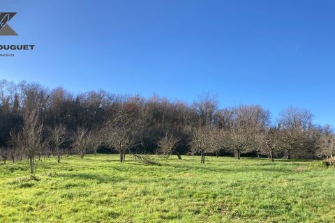 Landejendom i Moulon, Gironde, Moulon - € 315.000 | Ref: 830030956033 - foto 14
