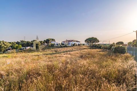 Villa i Pontevel, Santarem, Pontevel - € 450.000 | Ref: PL1055 - foto 3