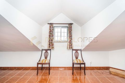 Villa i Pontevel, Santarem, Pontevel - € 450.000 | Ref: PL1055 - foto 27