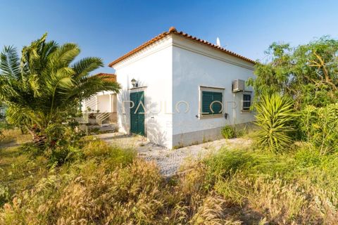 Villa i Pontevel, Santarem, Pontevel - € 450.000 | Ref: PL1055 - foto 38