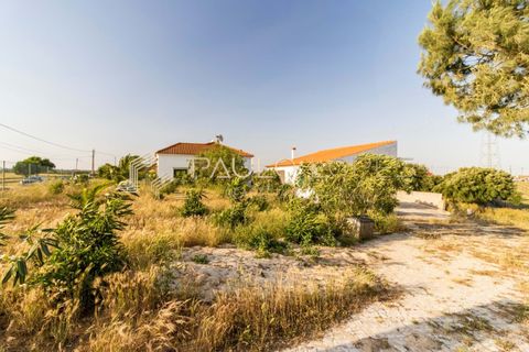 Villa i Pontevel, Santarem, Pontevel - € 450.000 | Ref: PL1055 - foto 42