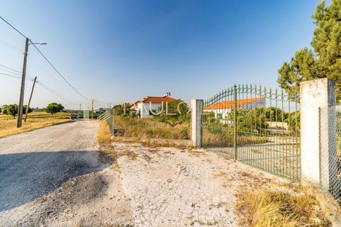 Villa i Pontevel, Santarem, Pontevel - € 450.000 | Ref: PL1055 - foto 43