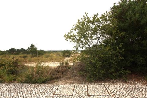 Helårsgrund i Vau, Leiria, Vau - € 150.000 | Ref: LA99373NN - foto 8